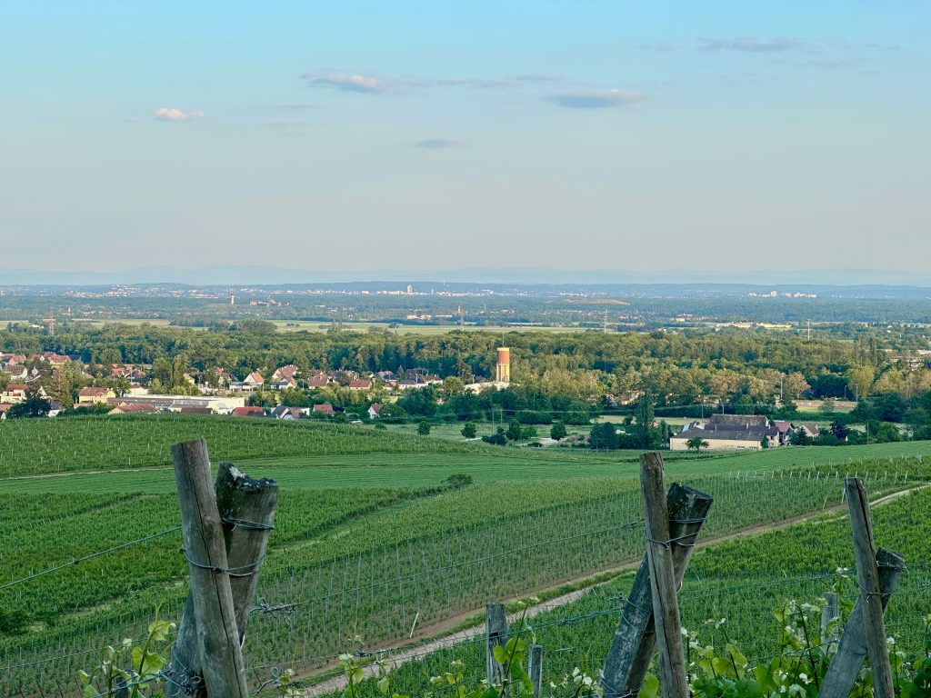 5 bonnes raisons d’investir et vivre à Issenheim, en Alsace