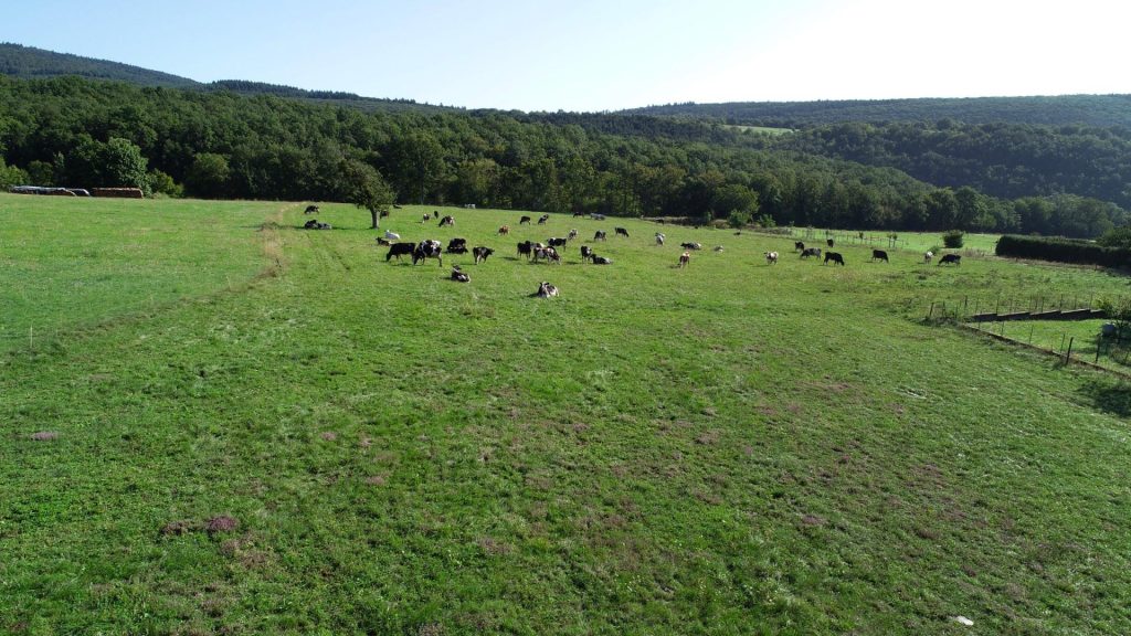 Résidence Attique ou Jardin d’Osenbach