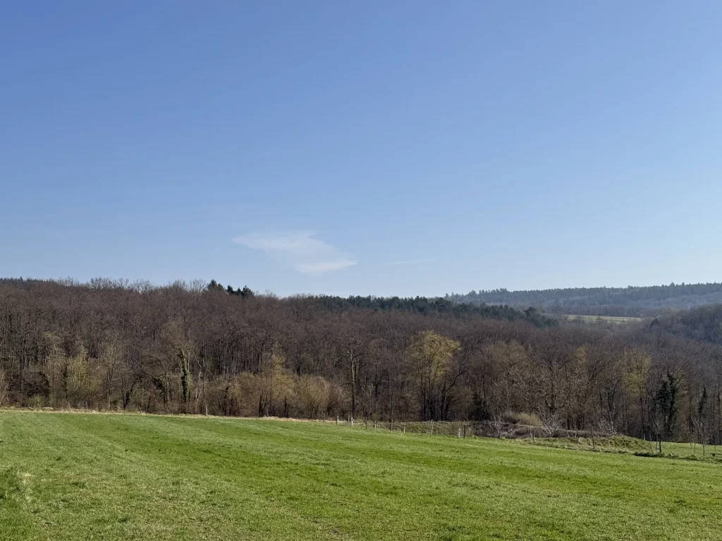 Investir à Osenbach : T3 avec double terrasse et stationnement