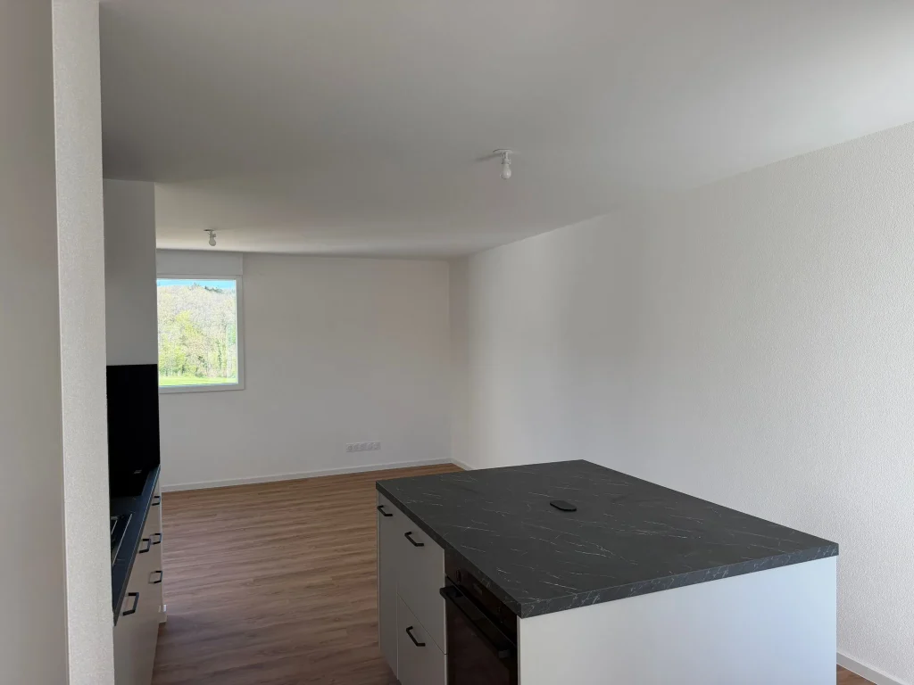 Investissement familial à Osenbach : T4 avec terrasses et garage