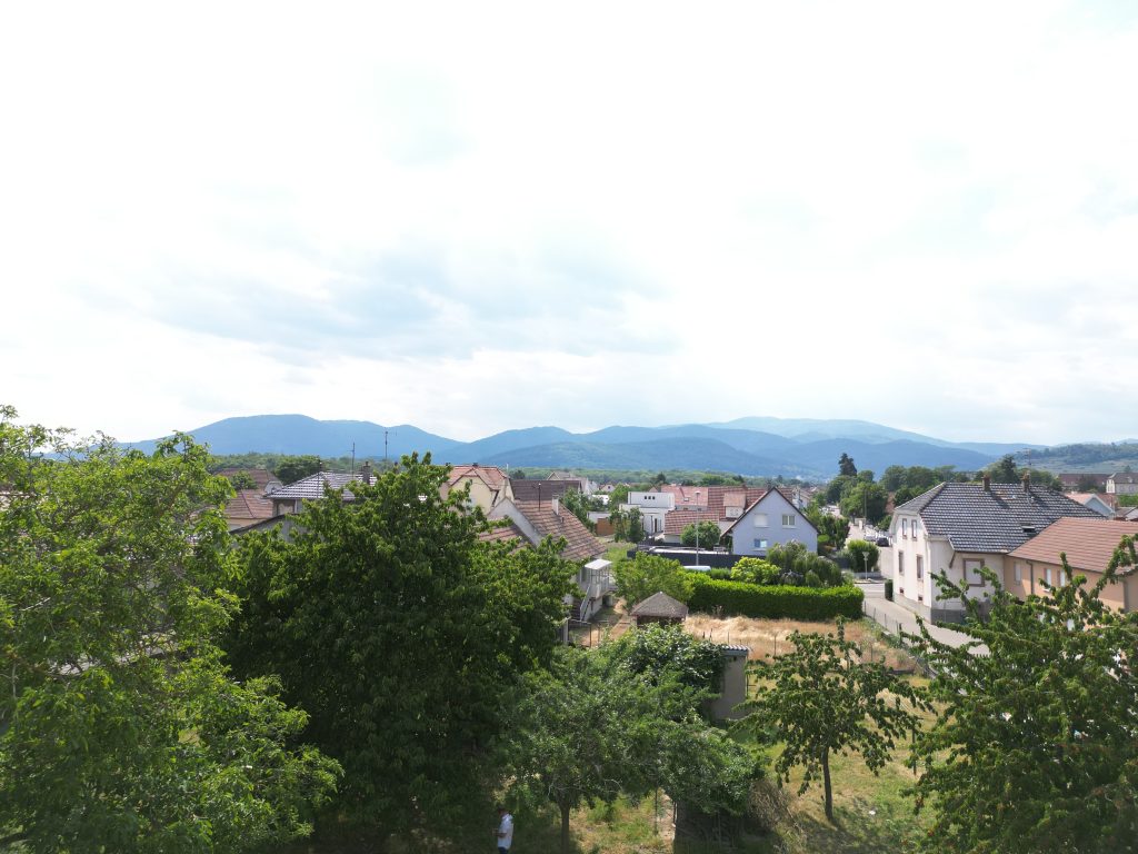 Appartements neufs à Issenheim : Résidence Tilia