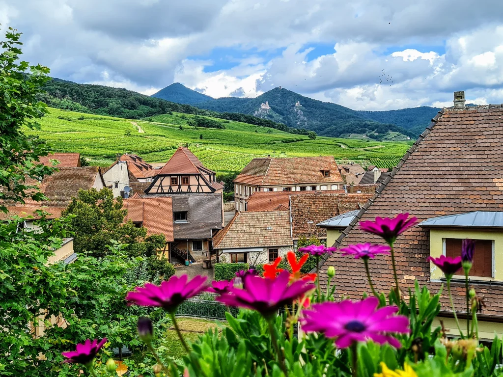 Résidence Circinia à Wettolsheim
